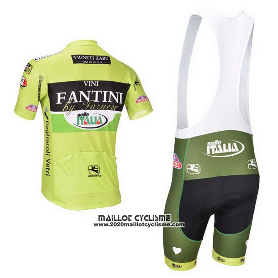 2013 Maillot Ciclismo Vini Fantini Vert et Noir Manches Courtes et Cuissard